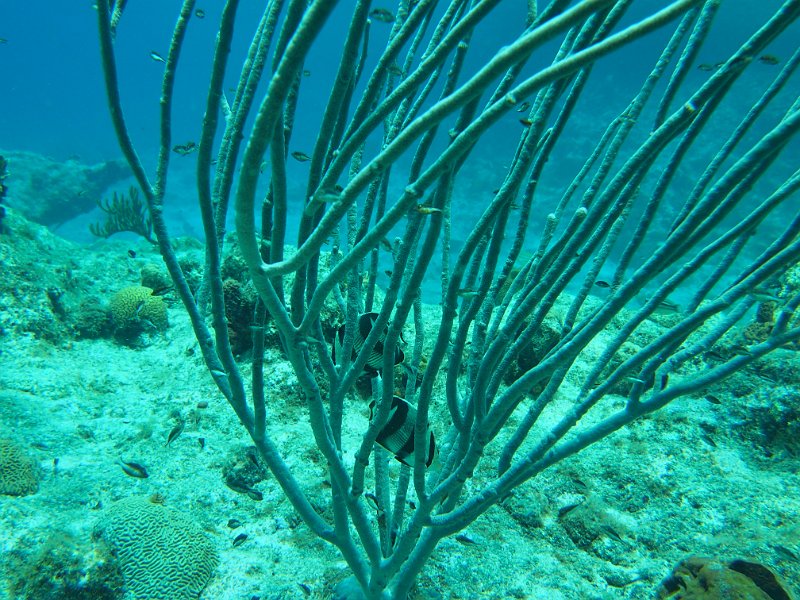 2015-03-26 14-10-37.JPG